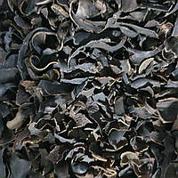 100 г фукус пузырчатый водоросль морская сушеная (Свежий урожай) лат. Fucus vesiculosus