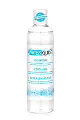 Гель-лубрикант WATERGLIDE 300ML COOLING