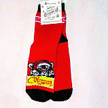 Новорічні чоловічі шкарпетки махрові всередині, розмір 40-46, фото 6