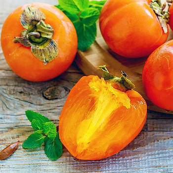 Саджанці хурми Костата (трирічна) - пізня, морозостійка, самоплідна