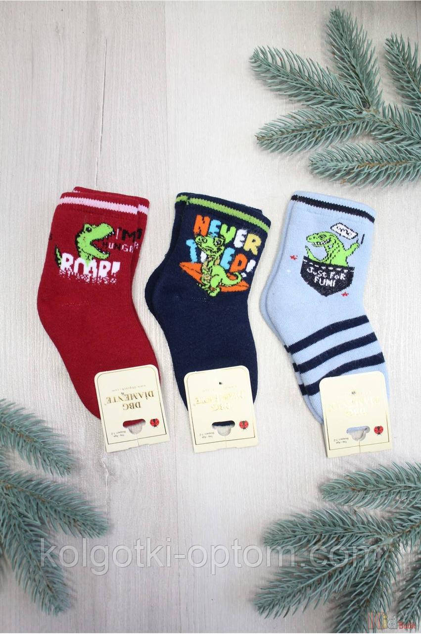 ОПТОМ Шкарпетки махрові з динозавриком для хлопчика (14/1-2 роки) DBG socks 8959000011153, фото 1