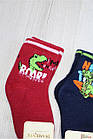 ОПТОМ Шкарпетки махрові з динозавриком для хлопчика (14/1-2 роки) DBG socks 8959000011153, фото 2
