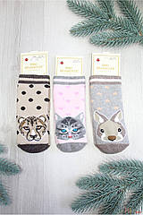 ОПТОМ Шкарпетки махрові для дівчинки Animals (14 / 1-2 року) DBG socks 8959000010743