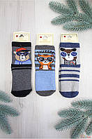 ОПТОМ Носки махровые для мальчика Cool Animals (14 / 1-2 года) DBG socks 8959000010903