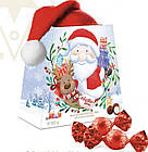 Цукерки Шоколадні Праліне Новорічна Коробка + шапка Миколи Baron 100 г Польща, фото 2