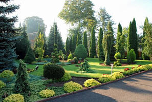 Ландшафтний дизайн і сади на дахах