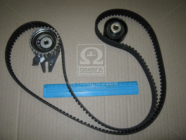 Ремкомплект ГРМ Fiat Doblo 1.9 7 173 6726 (производство SKF) (арт. VKMA 02192) - фото 3 - id-p1524242512
