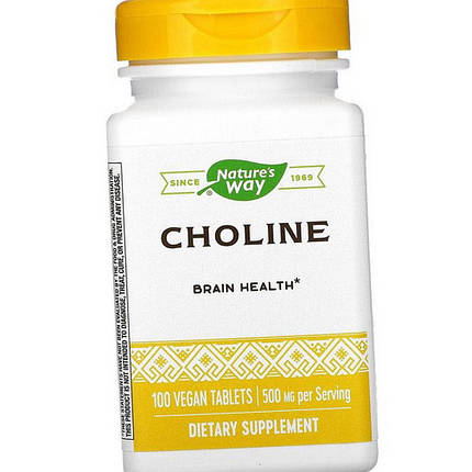 Холін Nature's Way Choline 500 mg 100 veg caps, фото 4