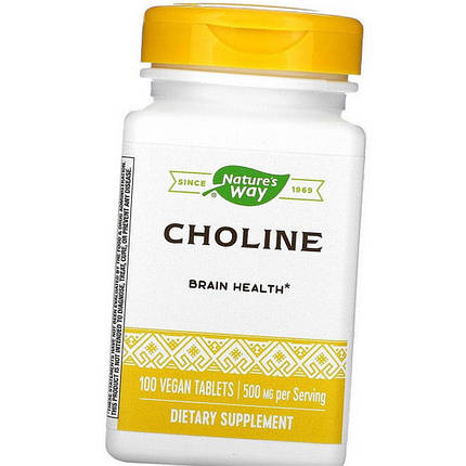 Холін Nature's Way Choline 500 mg 100 veg caps, фото 3