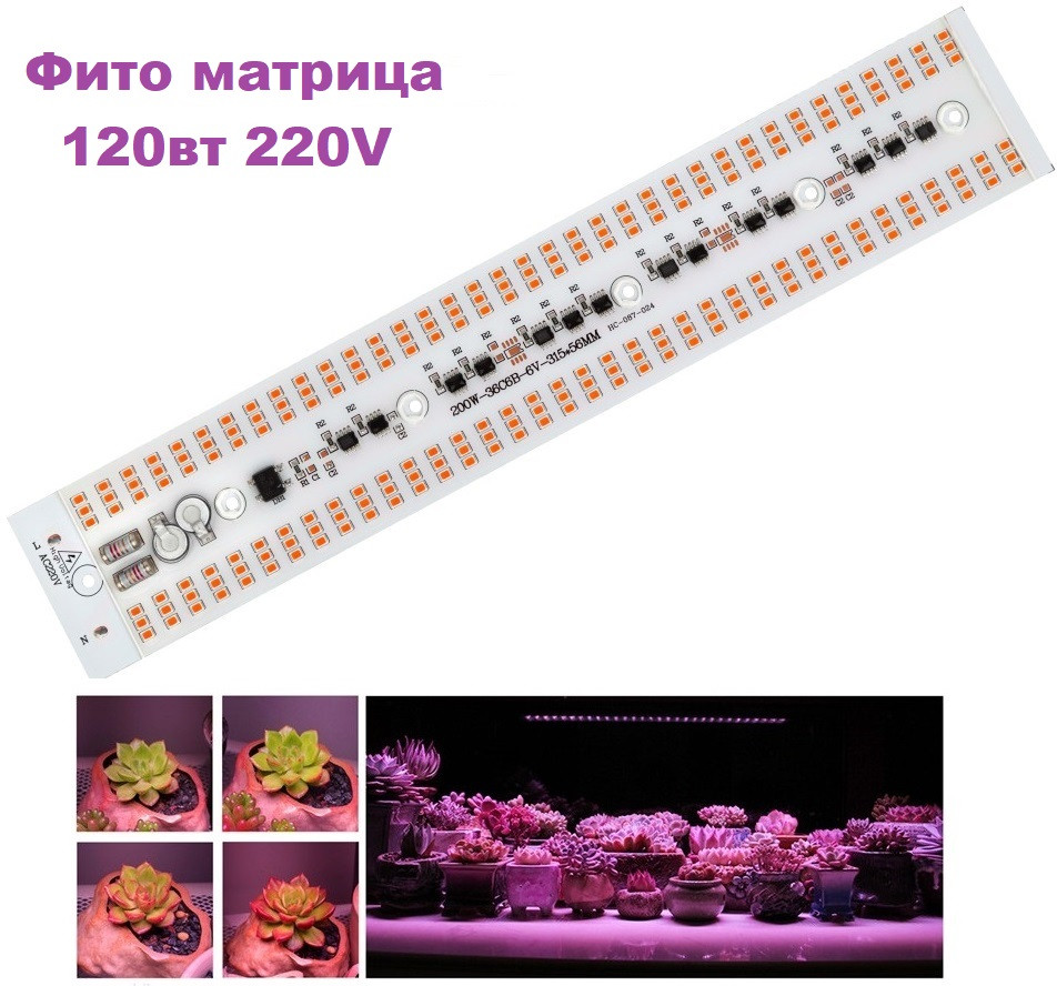 Світлодіодна led фіто матриця LEDTech, світильник повного спектру 120вт