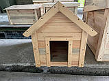 Дерев'яна будка для великих порід собак "Філадельфія" (80*110*90 см) - без фарбування, фото 3