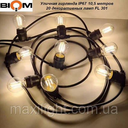 Вулична гірлянда Biom 10 метрів IP65 + 20 світлодіодних ламп + кабель живлення, фото 1