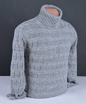 Чоловічий теплий светр під горло Vip Stendo