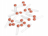 Конденсаторы керамические набор - 300 штук, 30 видов по 10 штук 2PF-0.1UF