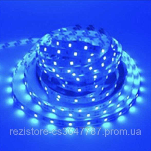 Светодиодная LED лента, синяя, 5 метров - фото 2 - id-p1524612242