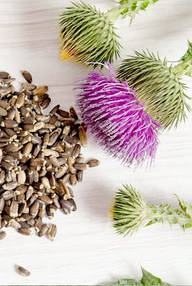 Розторопша Milk Thistle