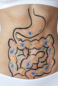 Для травлення та кишечника