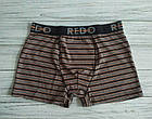 Чоловічі труси-боксери бавовна однотонні Смужка нью Польща. Білизна чоловіча боксерками, фото 2