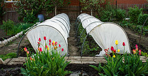 Парник «Агро-Лідер» 4 метри (міні-теплиця) 50 г/кв м, Харків, фото 3