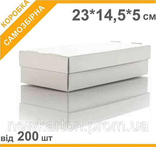 Коробка для суши 23х14,5х5см,, цена 6 грн — Prom.ua (ID#1524952032)