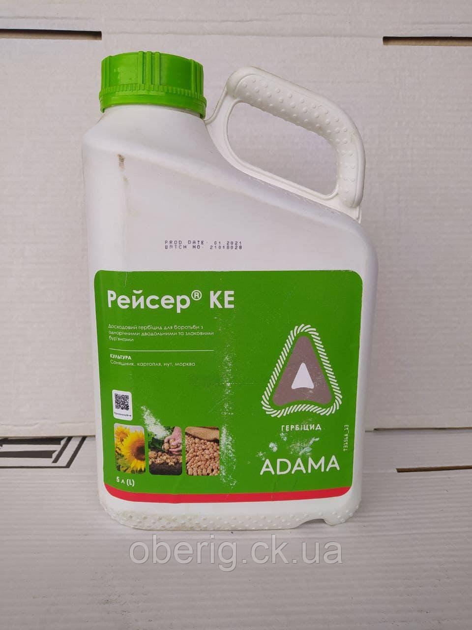 Рейсер довходовий гербіцид, 5 л, фото 1
