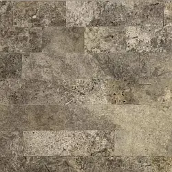 Травертин Silver Brushed 10FL