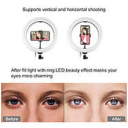 26 см Кільцеве світло (20 W) Puluz RGBWW Ring Light + стійка, 3200 — 6500 К, фото 9