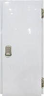 Распашные двери для морозильных камер - Стандарт 1ств ППУ120 1000х2000