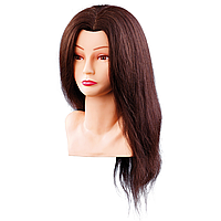 Учебная голова с плечами 40 см коричневые волосы Comair 7000798