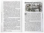 Петушки обетованные Катышев Геннадий Иванович, фото 4