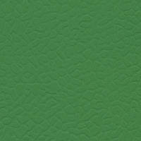 Спортивный линолеум LG Sport Leisure 4.0 Solid Dark Green LES6606