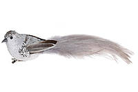 Декоративная птица на клипсе 21см, цвет - серебристо-серый(12шт)