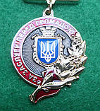 Медаль "За заслуги перед громадою" з документом, фото 4
