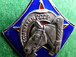 Нагрудний знак «За ударну кінну роботу» 1934-1941 рік ТСОАВІАХІМУ СРСР срібло,гаряча емаль копія, фото 2