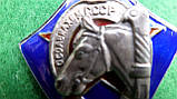 Нагрудний знак «За ударну кінну роботу» 1934-1941 рік ТСОАВІАХІМУ СРСР срібло,гаряча емаль копія, фото 4