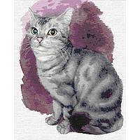 Картина по номерам ТМ Идейка Маленький котенок