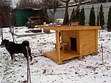 Дерев'яна будка з навісом для собаки "Комета", для середніх порід (100*120*75 см) - утеплена, фото 3
