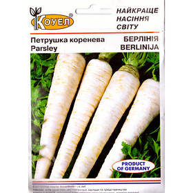Петрушка Берлінія 3г (Коуел) Коренева
