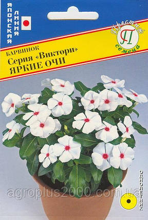 Насіння Барвінок (катарантус) Вікторі Яскраві Очі 10 насіння Sakata, фото 1