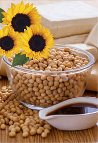Лецитин Lecithin (Soy, Sunflowers)