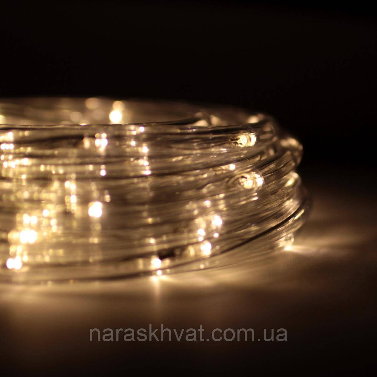 Шланг Дюралайт 10 м 2-жильний Теплий Білий, фото 1