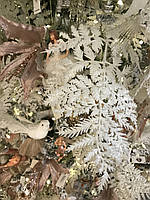 Искусственная ветка белого папоротника 67cm Goodwill (цена за 1 штуку)