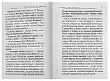 Свет разума. Блаженные. Лик скрытый Шмелев Иван Сергеевич, фото 3