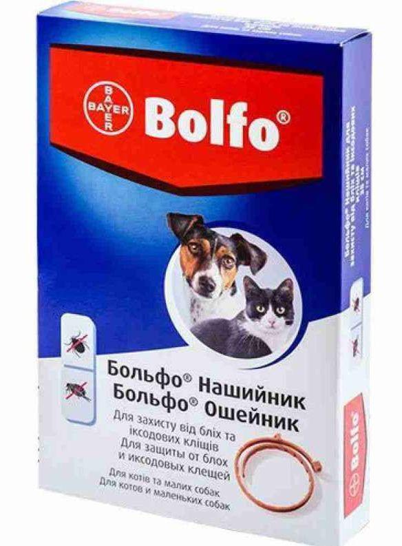 Ошейник Больфо Bolfo для котов и мелких пород собак от блох и клещей ...