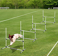 Набори для тренування собак Pawhut з 4 частин