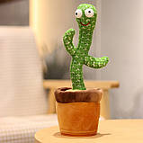 Танцювальний кактус співаючі пісеньки з підсвіткою Dancing Cactus TikTok іграшка Повторюшка кактус зелений, фото 2