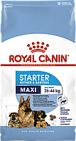 Сухой корм для щенков в период отлучения для больших пород ROYAL CANIN MAXI STARTER 4 кг