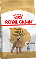 Сухой корм для взрослых собак породы пудель ROYAL CANIN POODLE ADULT 1.5 кг