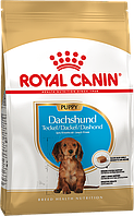 Сухой корм для щенков породы такса ROYAL CANIN DACHSHUND PUPPY 1.5 кг