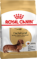 Сухой корм для взрослых собак породы такса ROYAL CANIN DACHSHUND ADULT 1.5 кг